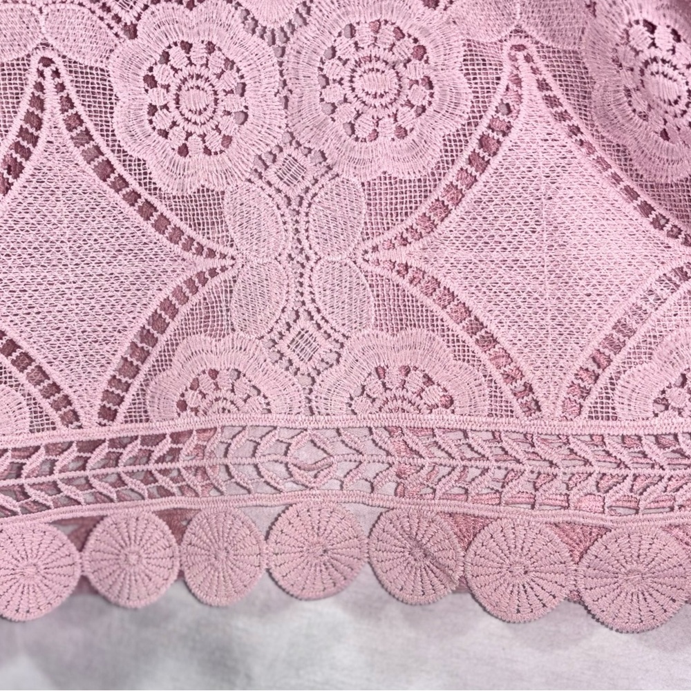 Rabbit Rabbit Rabbit Delicate Pink Lace Blouse - Picture 13 of 15